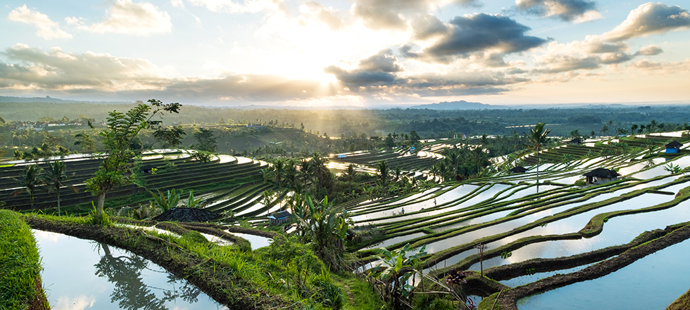 Pupuk Indonesia harnesses Snowflake Data Cloud to transform national agricultural production